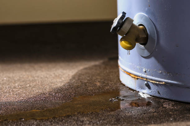 Best Commercial water damage restoration  in Monroe, OH