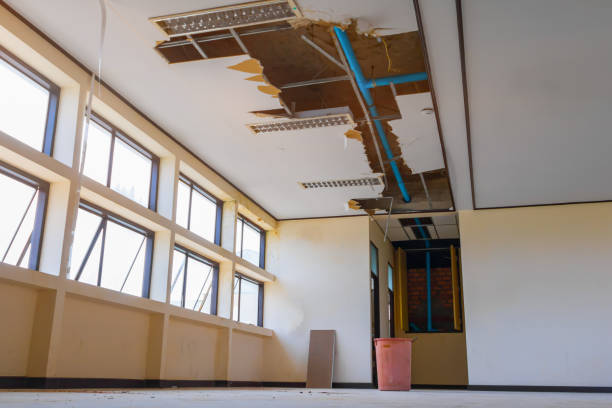 Best 24/7 water damage repair  in Monroe, OH