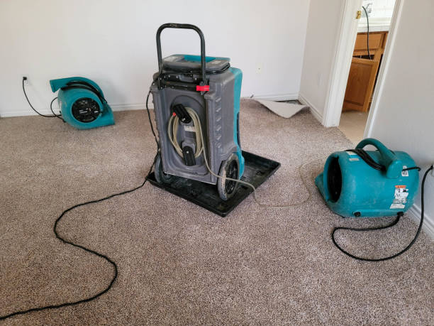  Monroe, OH Water damage restoration Pros