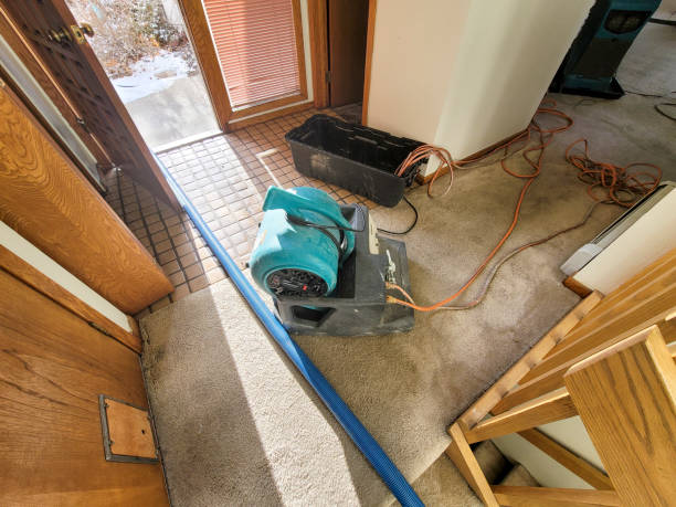 Best Water damage mitigation services  in Monroe, OH