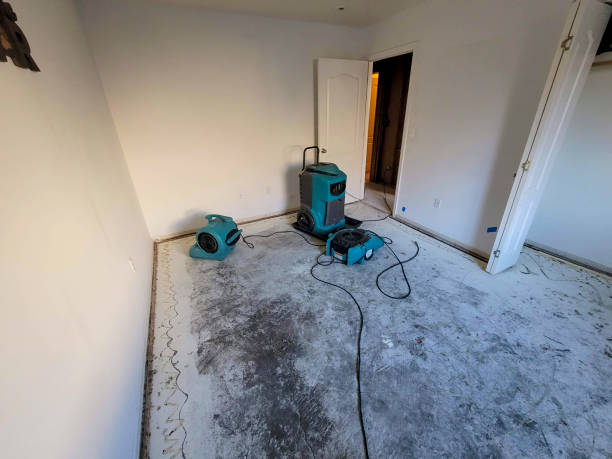 Best Flood damage cleanup  in Monroe, OH
