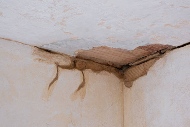 Best Water damage restoration mold remediation  in Monroe, OH