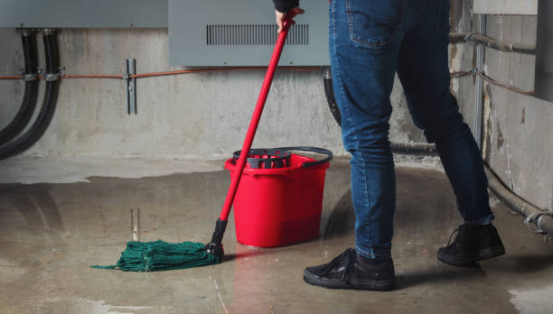 Trusted Monroe, OH Water damage restoration Experts