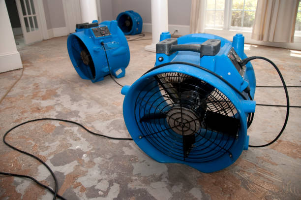 Best Flooded house restoration  in Monroe, OH