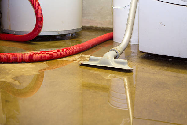 Best Water damage repair service  in Monroe, OH