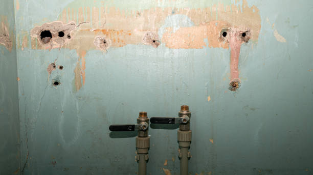 Water damage restoration mold remediation in Monroe, OH