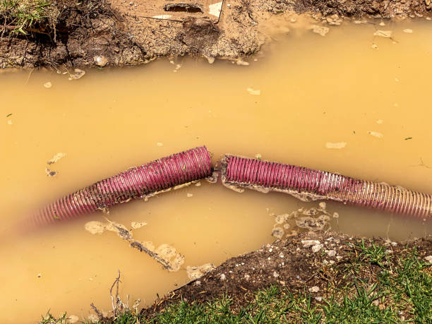 Best Local water damage restoration  in Monroe, OH